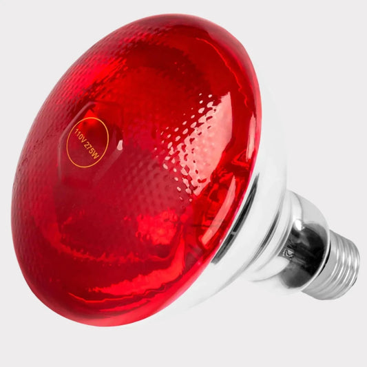 redlightlamp